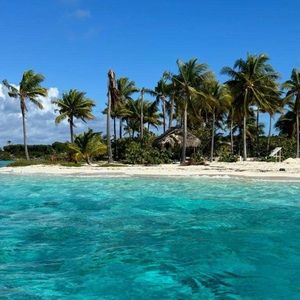 Meet your Posher, Hailey